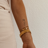 Citrons sur une Branche