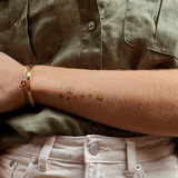 Papillons Scintillants