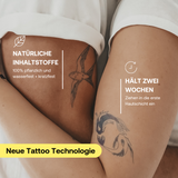 Offre Kit de Démarrage VIP