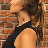 Vue de dessus d'araignée