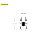 Vue de dessus d'araignée