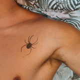 Vue de dessus d'araignée