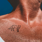 Renard géométrique