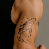 Tatouage Baleine Bleue dans un Rectangle