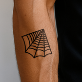 Grande toile d'araignée