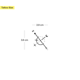 Tatouage Glacier & Boussole - Lot de 2