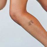 Renard géométrique