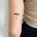 silhouette de dragon