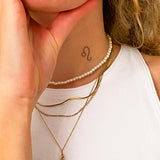 signe astrologique Lion