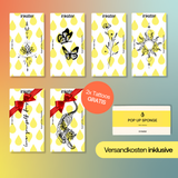 Maxi Starter Set Deal