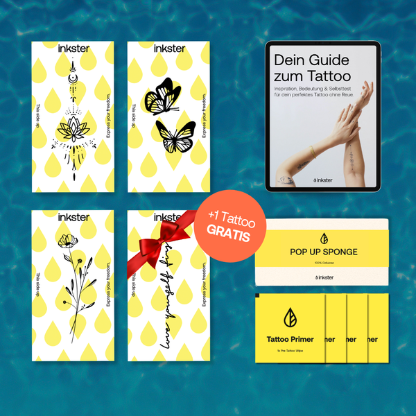 Offre Kit de Démarrage VIP