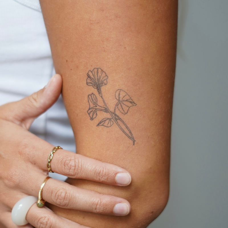 Tatouage de fleur de naissance liseron de septembre