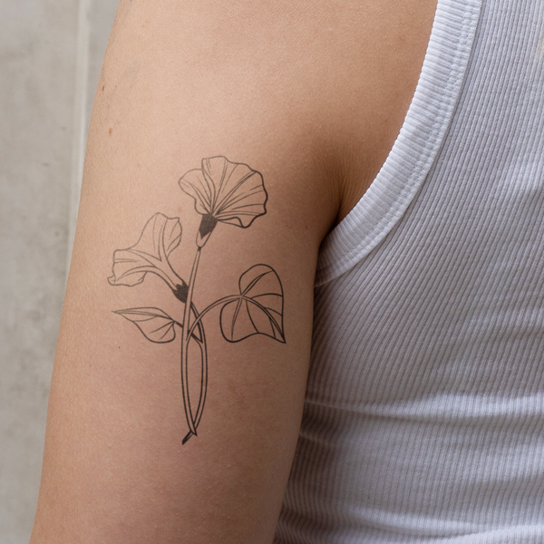 Tatouage de fleur de naissance aster de septembre