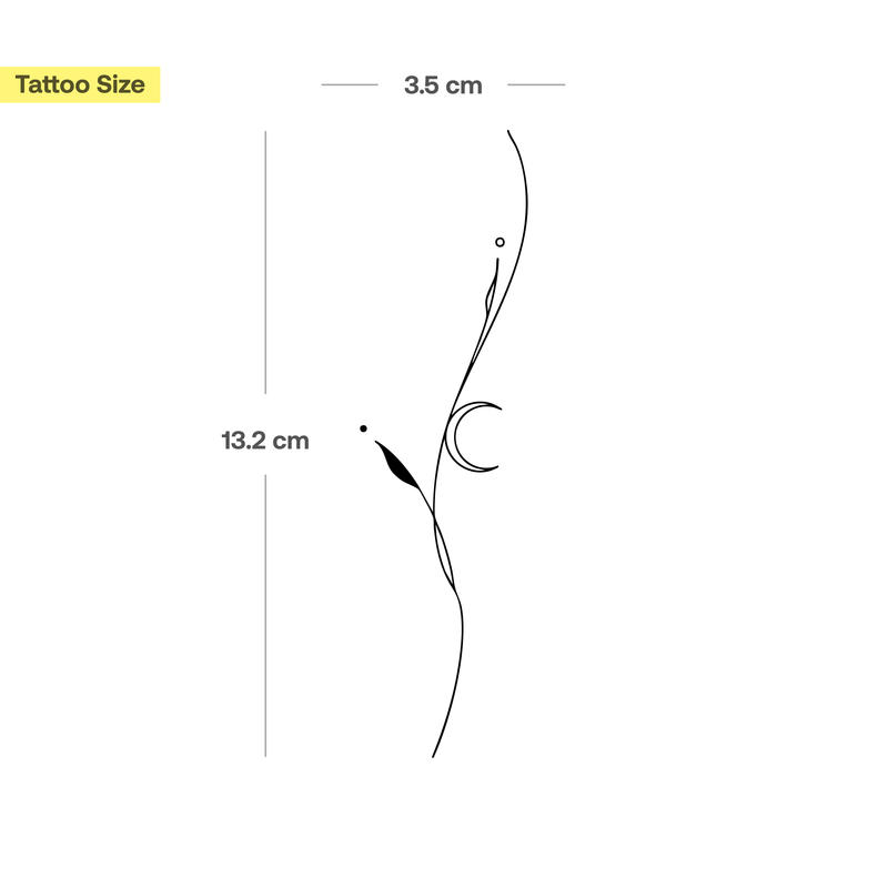 Tatouage Plante Filigrane avec Lune