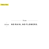 no rain, no flowers.